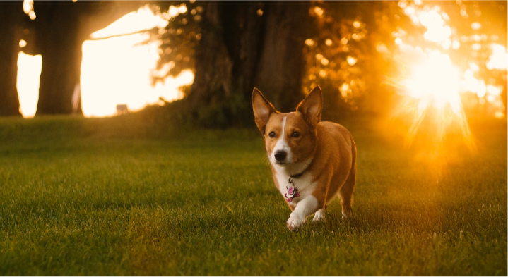 Alojamiento
